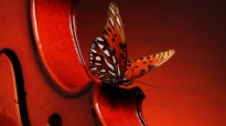 Classical-Music-Wallpaper